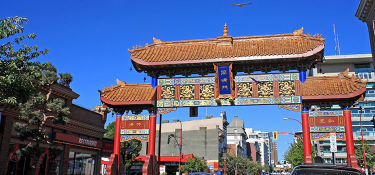 fakta chinatown di kanada